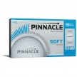 Pinnacle Soft